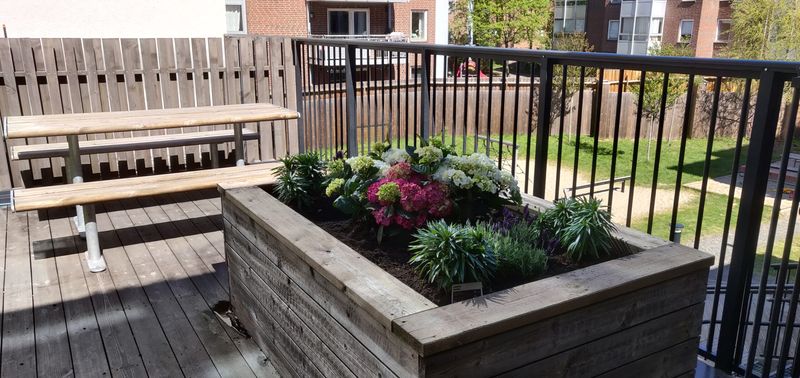 Plantekasse på felles terrasse